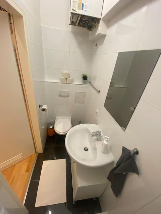 Cozy Appartm With + Airport/City Center Connection Apartment Vienna Luaran gambar